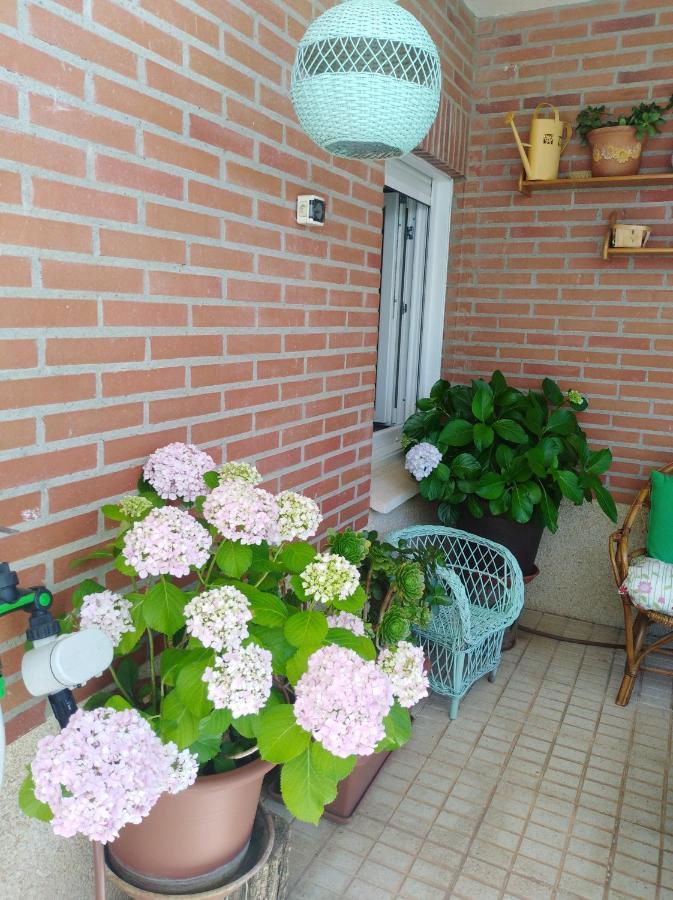 Apartamento Turistico Principe Caceres At-Cc-00415 กาเซเรส ภายนอก รูปภาพ