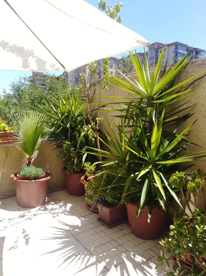 Apartamento Principe กาเซเรส ภายนอก รูปภาพ