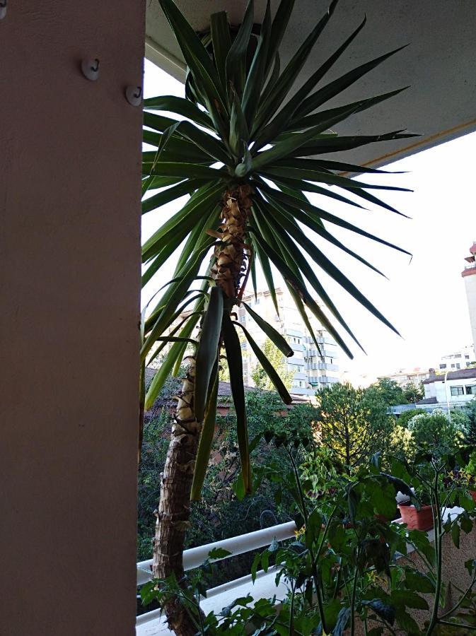 Apartamento Principe กาเซเรส ภายนอก รูปภาพ